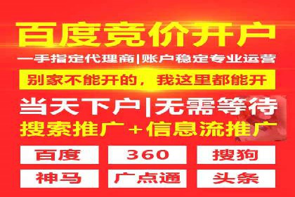 百度推广平台案例剖析：揭秘广告投放策略